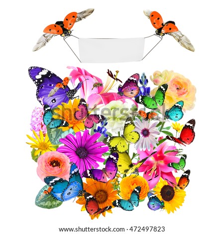 Colorful flowers, butterflies and ladybug with blank banner for text.  Nature and Wildlife Art composition isolated on white background