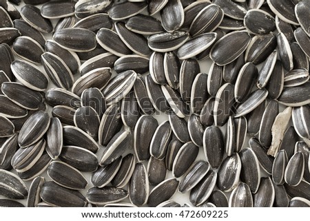 raw sunflower seeds background