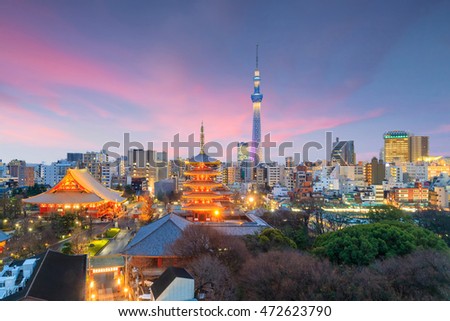 View of Tokyo skyline  at sunset in Japan.
