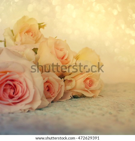 Fresh roses flowers