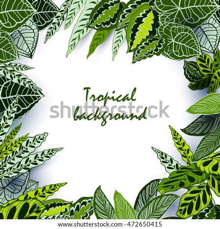 Vector tropical jungle background 
