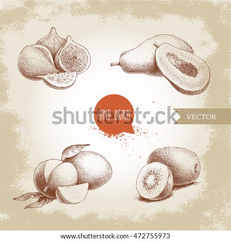 Hand drawn exotic fruits set. Fig fruits composition, papaya, mango with cut and kiwi fruits. Eco food sketch vector illustration on old background.