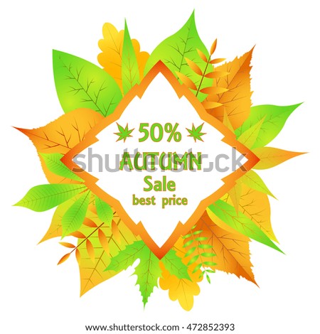 selling leaflet autumn leaves in vector on white background.