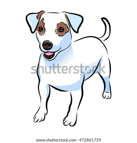 Vector closeup portrait of cute Jack russel terrier breed puppy isolated on white background. Shorthair small-sized little terrier dog. Hand drawn sweet home pet. Greeting card design. Clip art