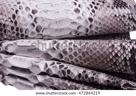 Snakeskin python background