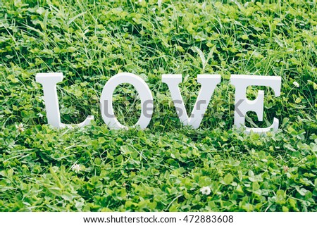 Word "love" composed of letters. Sunny day. Love text on the grass. Toned picture.