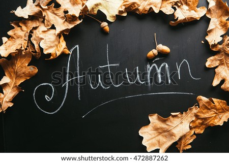 yellow leaves and the inscription autumn on a blackboard.