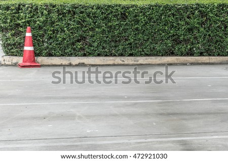 Plastic red cone and green trimmed plants on the concrete road