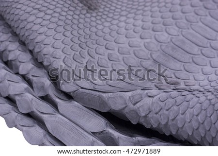Snakeskin python background