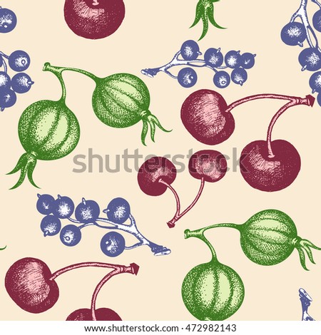Berries seamless pattern gooseberry currant cherry garden berries vintage ink hand drawn vector