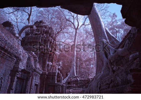 Black and white infrared photography in Angkor wat Siem reap Cambodia