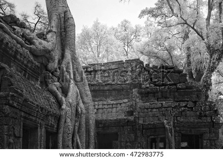 Black and white infrared photography in Angkor wat Siem reap Cambodia