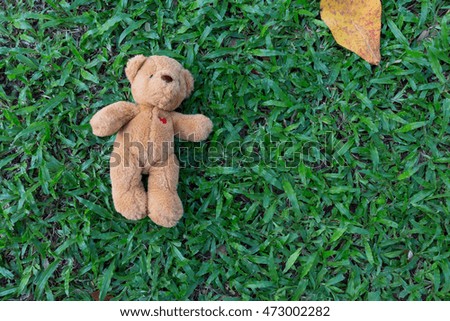 Cute teddy bear with leaf on green grass background