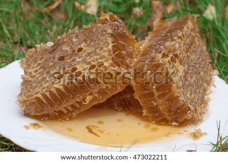 Fresh honey with honeycomb on a white plate