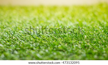 Green grass background texture. Element of design.