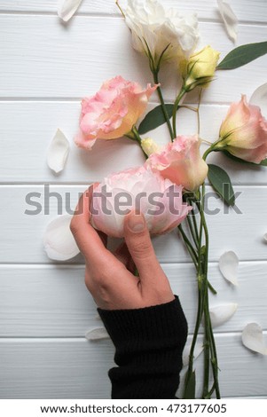 Hand holding tender  rose on the white rustic background. Flowers background 