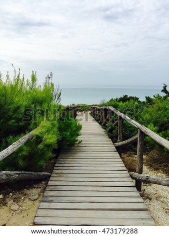 road leading to the sea, Salento, Puglia, Italy, summer Royalty-Free Stock Photo #473179288