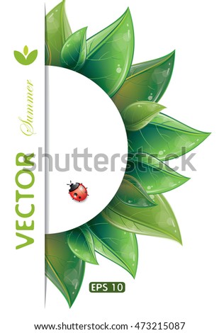 Semicircle design of green leaves with ladybug isolated on white, vector illustration, eps-10