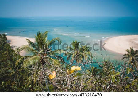 Beautiful beach with palms in India
