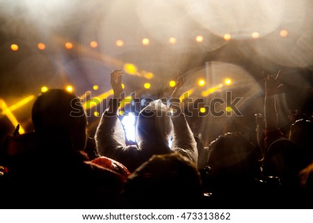 Crowd at concert
