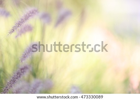 A blurred background of plants in nature.