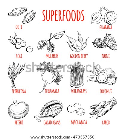 Big set of vector doodle illustrations of the most popular super foods. Collection of hand drawn fruits, plants and berries with black outline isolated on white background. Royalty-Free Stock Photo #473357350