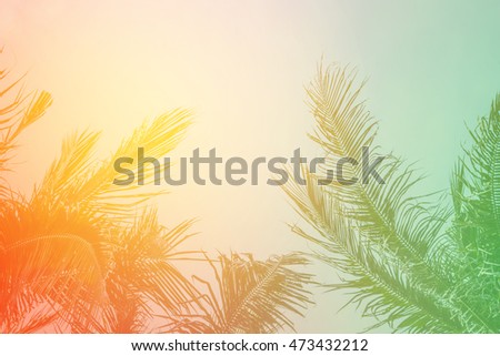 Coconut leaf background. Retro color style.