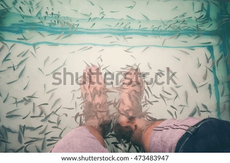Spa feet for treatment by small fish.