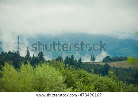 Summer mountains forest