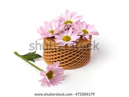 bouquet of pink flowers on white background