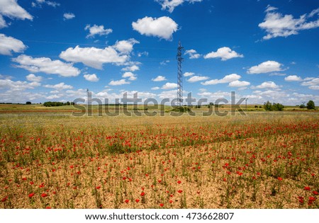 Beautiful poppies fields with high voltage power line transmission tower under a blue cloudy sky