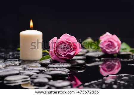 rose petals with candle and therapy stones 
