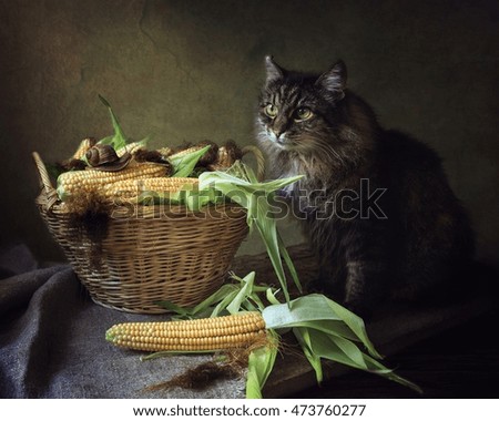 A cat and the basket of fresh corn