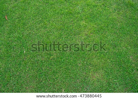 Football grass background
