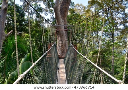 Canopy walk at the worlds oldest rain forest, Taman Negara in Malaysia.