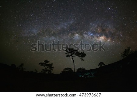 Silhouette of tree and Milky Way at Phu Hin Rong Kla National Park,Phitsanulok Thailand. Long exposure photograph.with grain