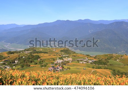 Orange daylily flower at sixty stone mountain, Fuli, Hualien, Taiwan.