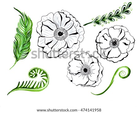 Illustration drawing elements flower close-up and with different details