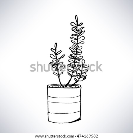 Isolated hand drawn line art of a potted plant