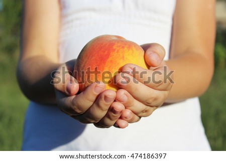 ripe peach in the palms. concept of seasonal harvesting, nutritious, refreshment, mellow product, hungry toddler, yummy, foodie, farming, sweet food, sunny day, delicious