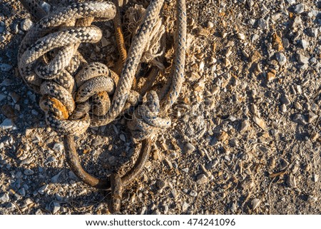 Rope and Chain in Dock