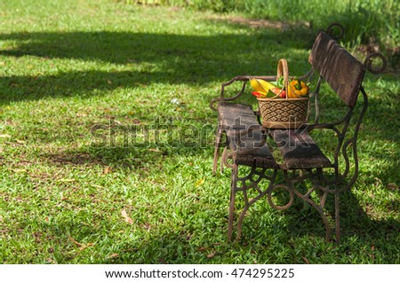 Eating fresh fruits and vegetables in a basket on the seat rest, leisure parks.
