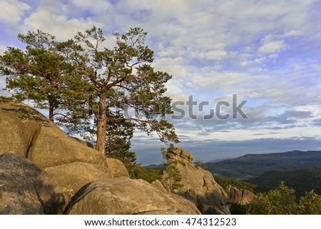 Dovbush Rocks, huge stones, rocks, moss, roots in the moss, trees among the rocks,trees on rocks, blue sky