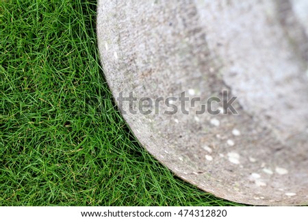 equilibrium between Nature and Nature / grass and palm live together pattern background wallpaper texture backdrop abstract