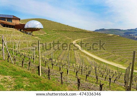 Langhe landscape with berry of the Ceretto winery. Royalty-Free Stock Photo #474336346