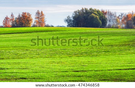 Green field with trees on the horizon on a sunny day. Space for copy.