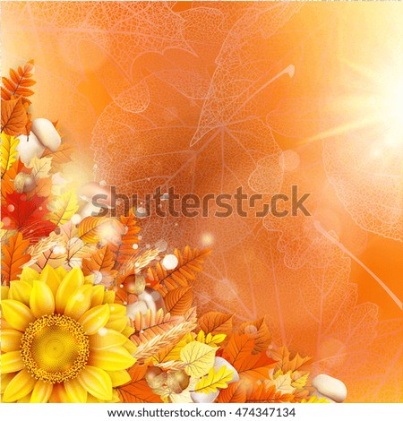 Background on a theme of autumn. EPS 10 vector file included