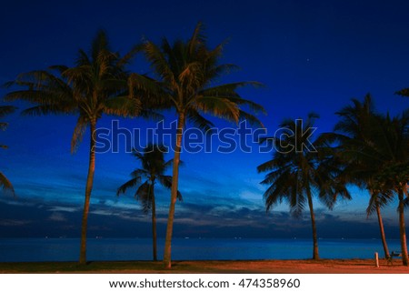 Coconut tree and Beautiful sunrise on the Samilar beach.