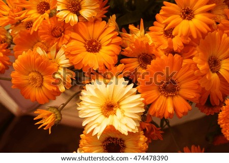 Background from orange flowers.