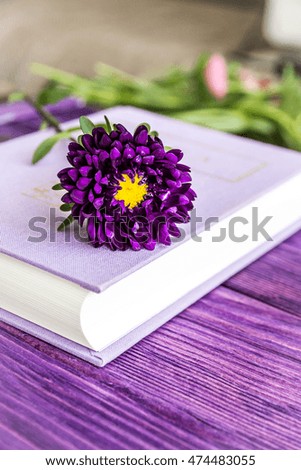 Aster flowers on purple wooden background